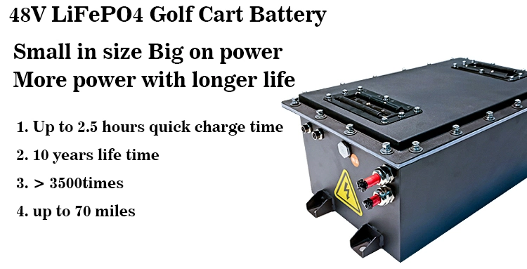 Lithium Ion Battery Cts Soems 48V 80ah 160ah für Golfmobil, Energie-Batterie LiFePO4 48V 36V fertigte besonders an